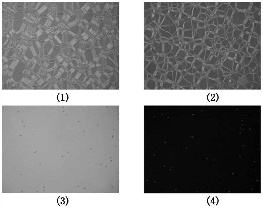 A kind of preparation method of colorless transparent polyimide liquid crystal alignment film