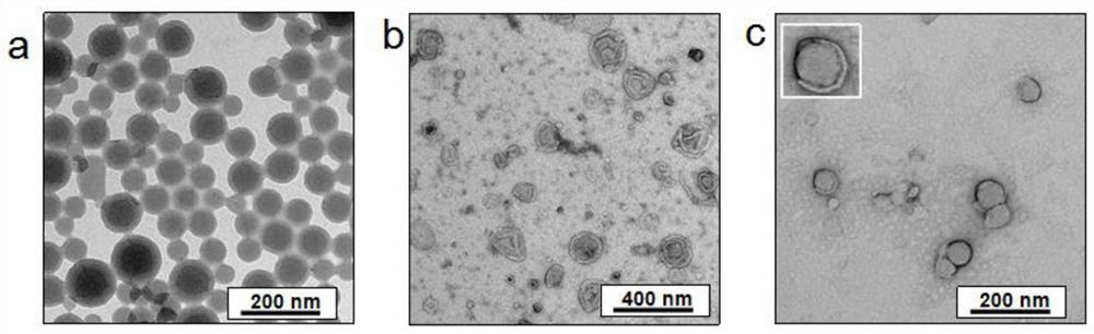 A kind of porphyrin nanocomposite with tumor targeting function and its preparation method and application