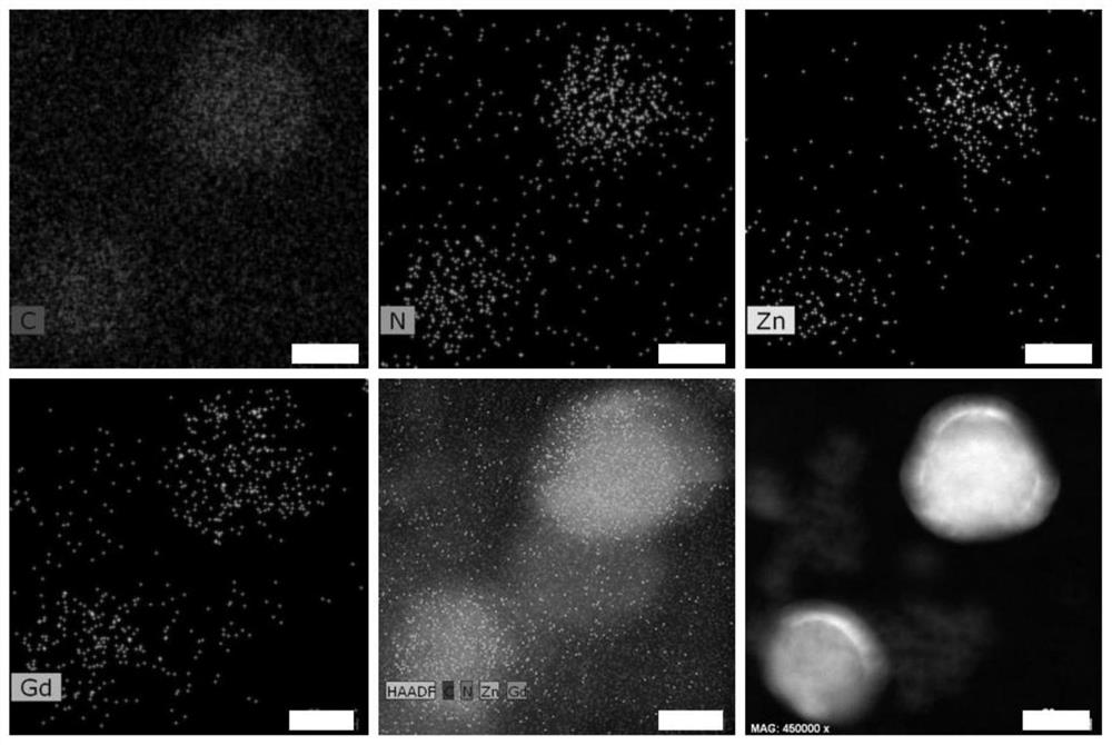 A kind of porphyrin nanocomposite with tumor targeting function and its preparation method and application