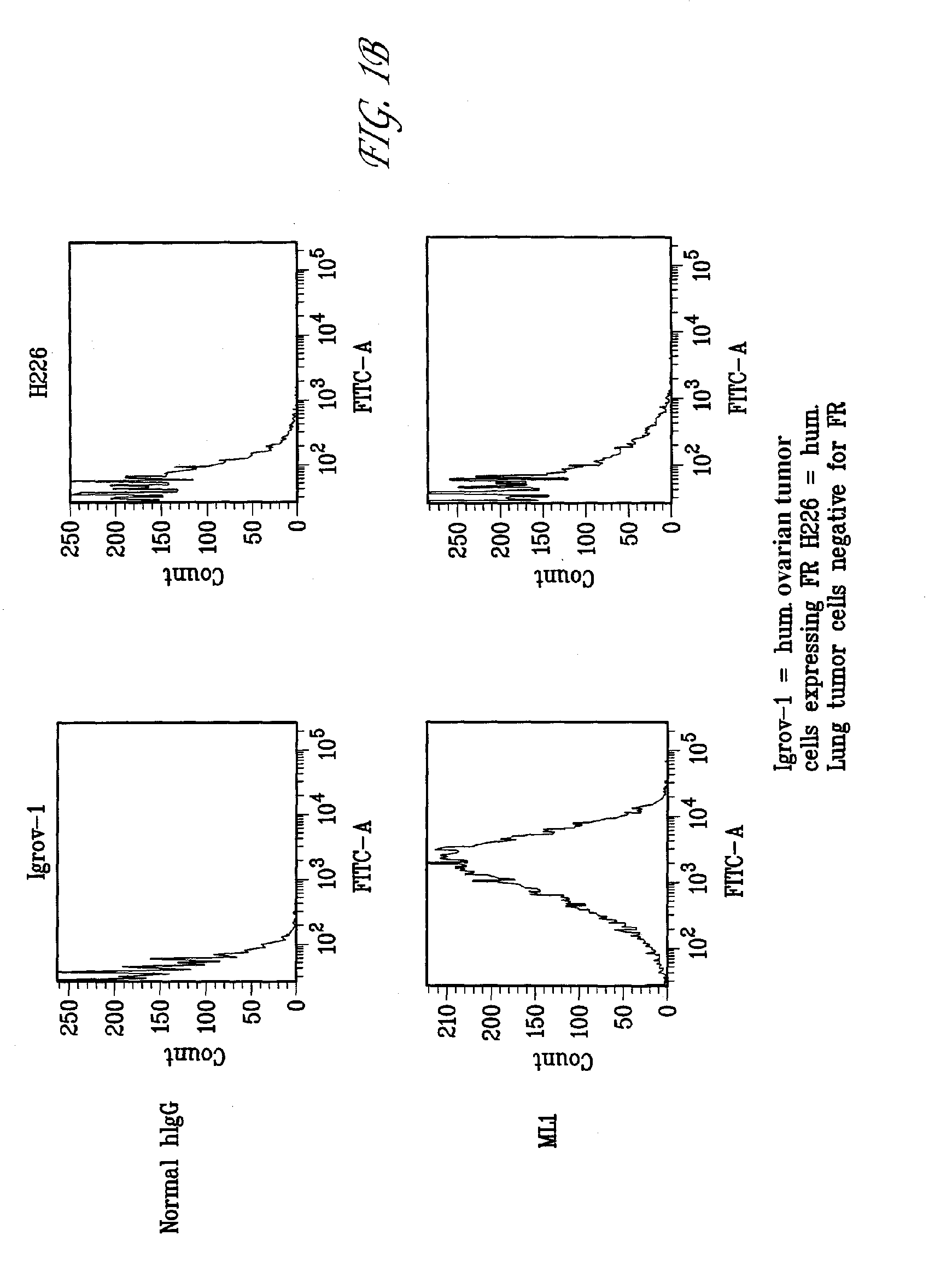 Antibodies With Immune Effector Activity And That Internalize In Folate Receptor Alpha-Positive Cells
