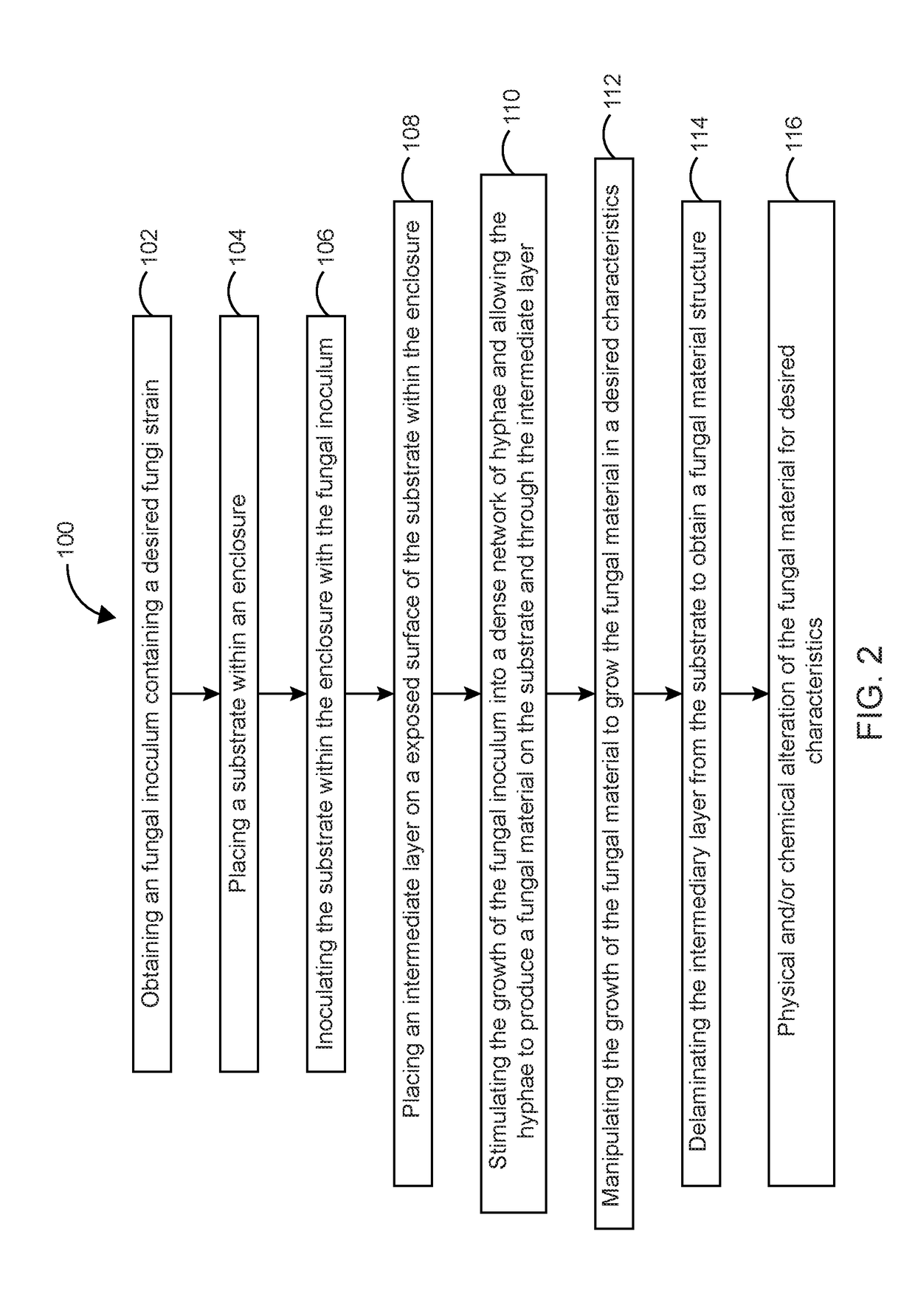 Method of Producing Fungal Materials and Objects Made Therefrom