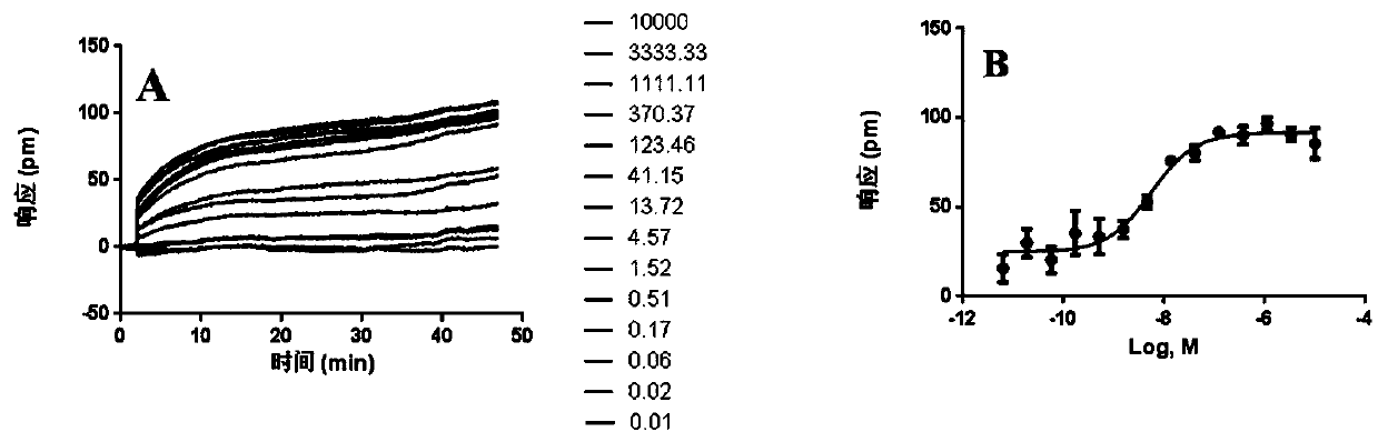 Cell screening model of label-free Delta receptor