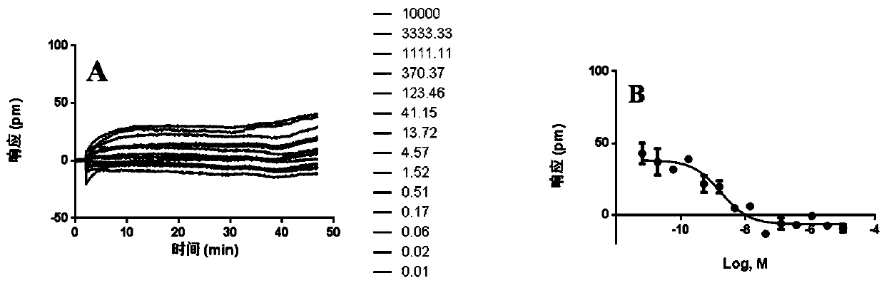 Cell screening model of label-free Delta receptor