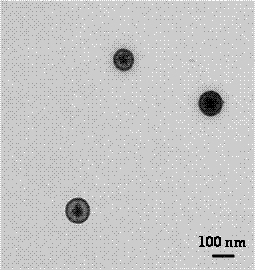 Preparation method of core-shell graphene quantum dot @ mesoporous silica nano-material