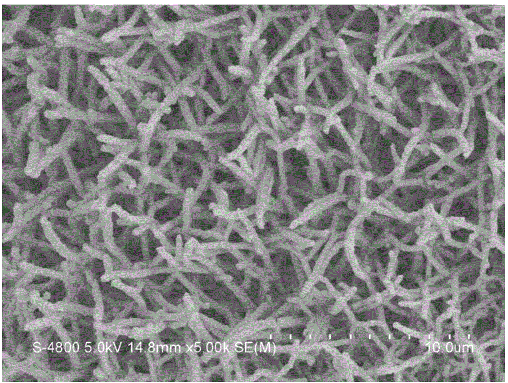 ZnCo2O4@MnO core-shell heterostructure nanotube array material, and preparation method and application thereof