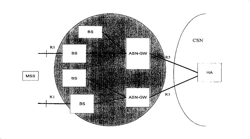 Method for implementing terminal denetwork at customer terminal mobile network protocol