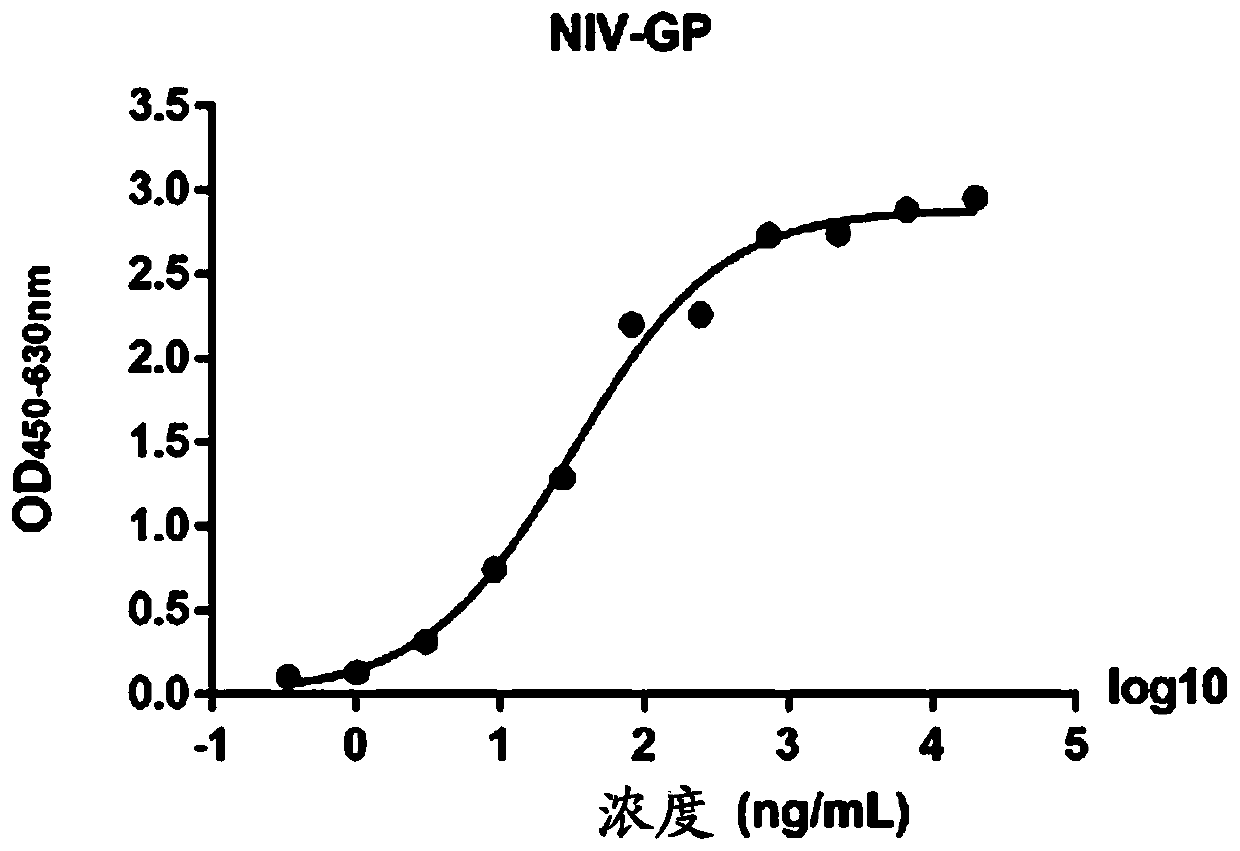 Monoclonal antibody against Nipah virus envelope glycoprotein, and application thereof