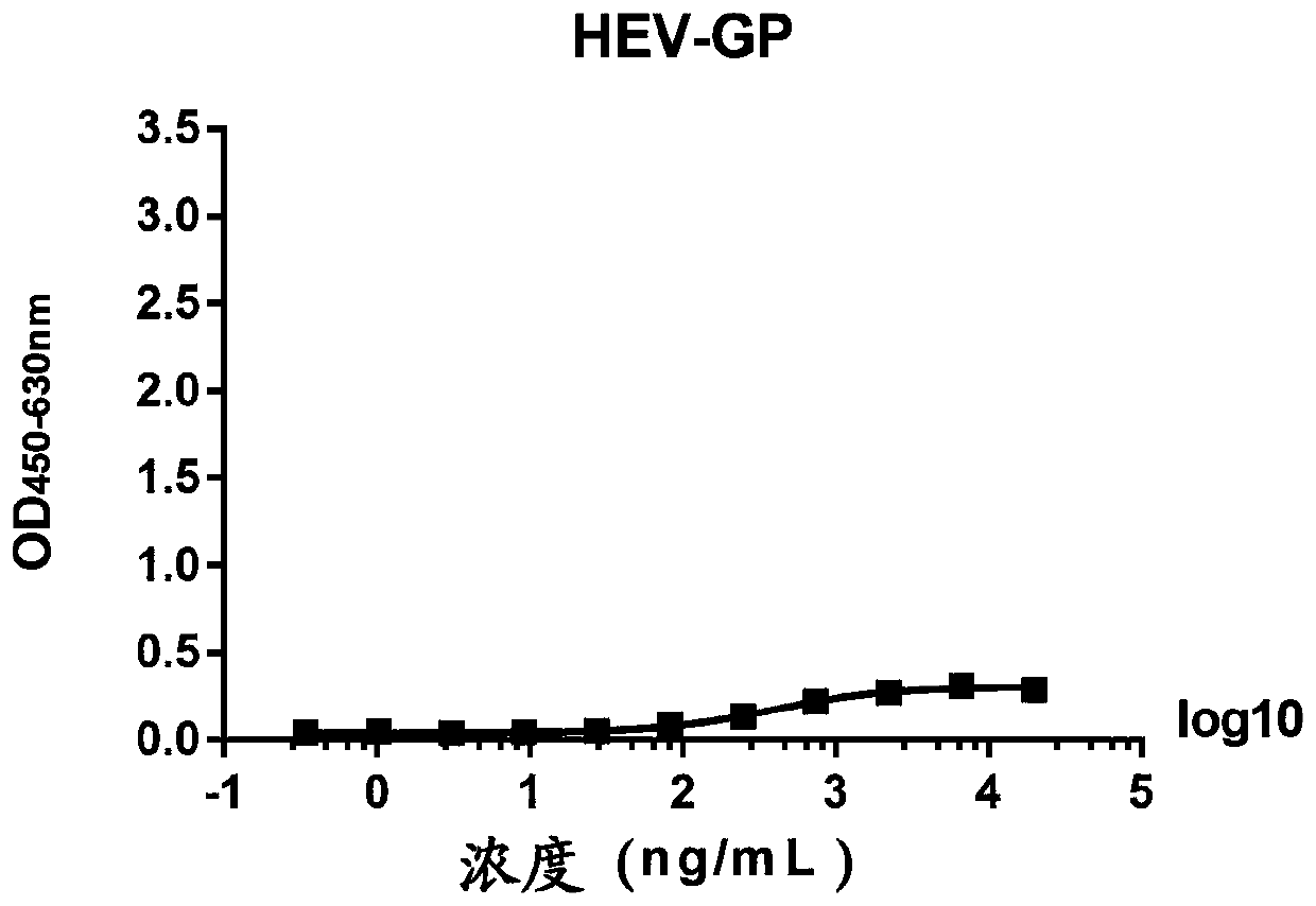 Monoclonal antibody against Nipah virus envelope glycoprotein, and application thereof