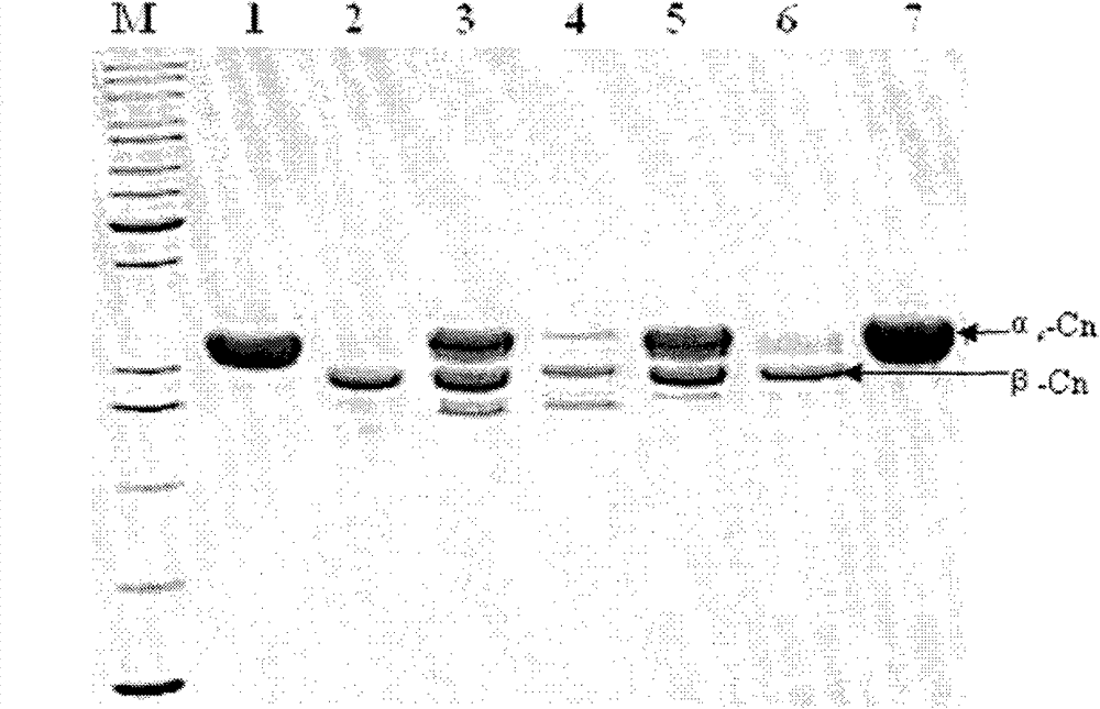 Method for separating alpha s-casein