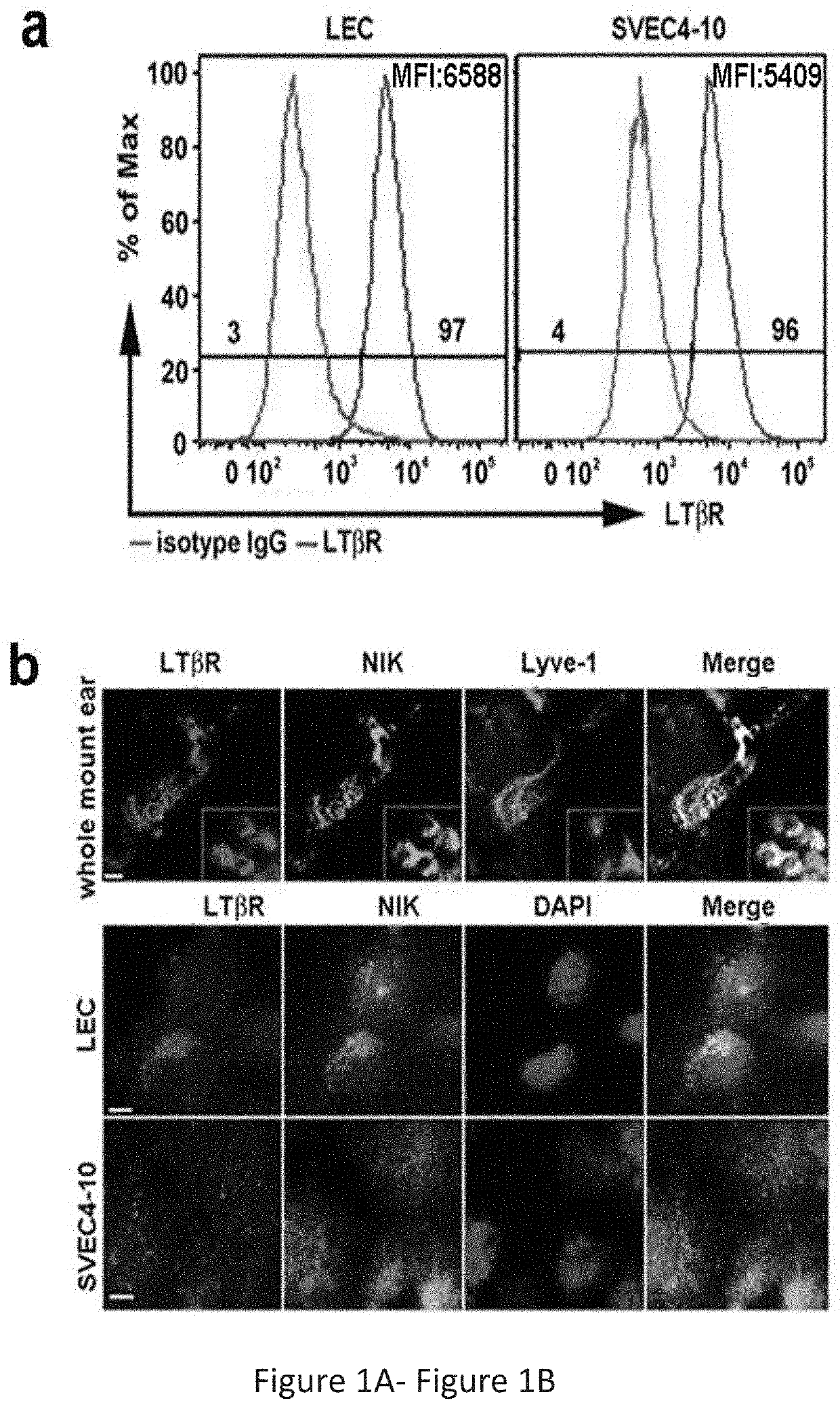 Compositions and Methods for Treating Inflammation and Cancer