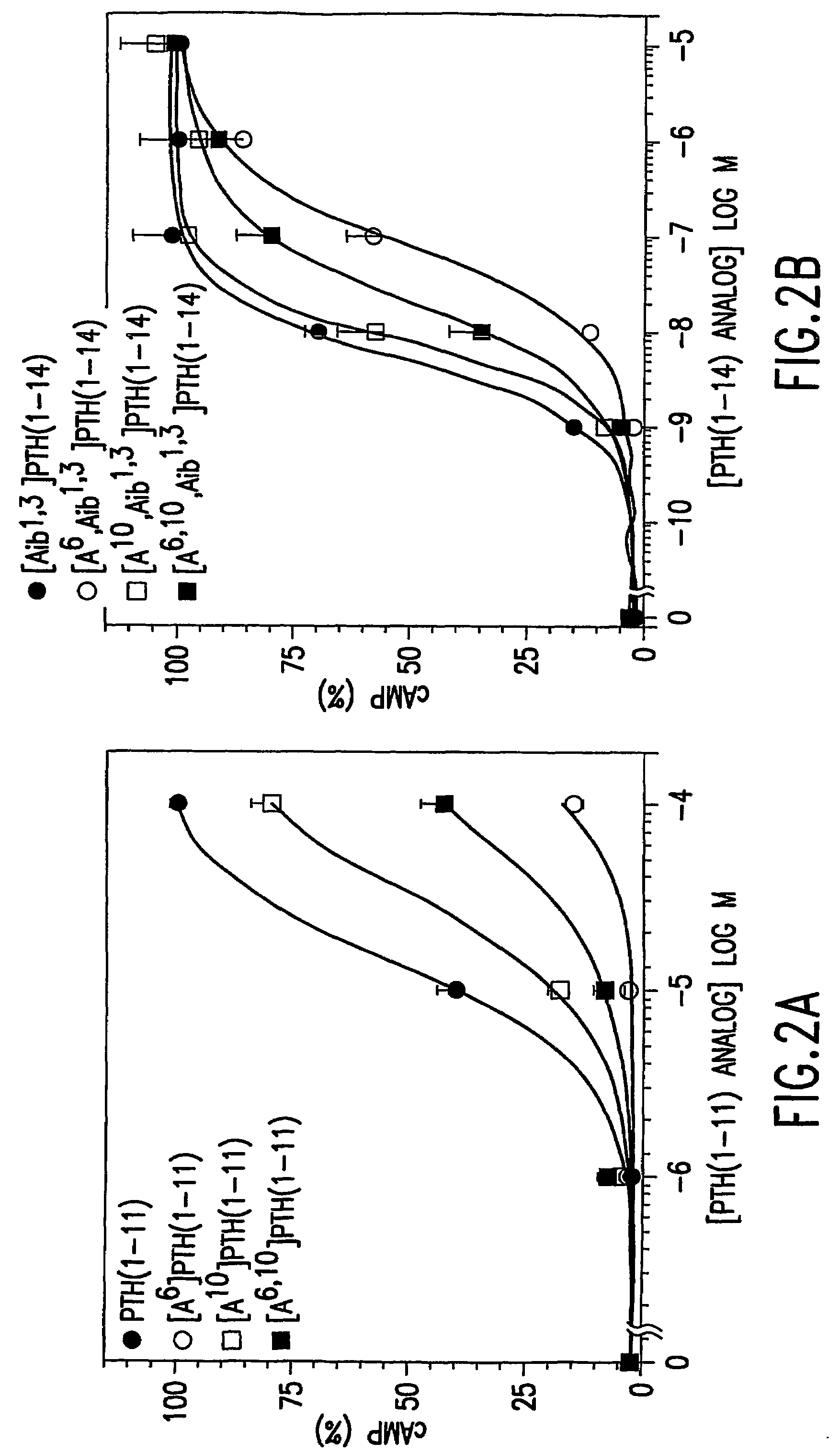 Conformationally constrained parathyroid hormone (PTH) analogs with lactam bridges