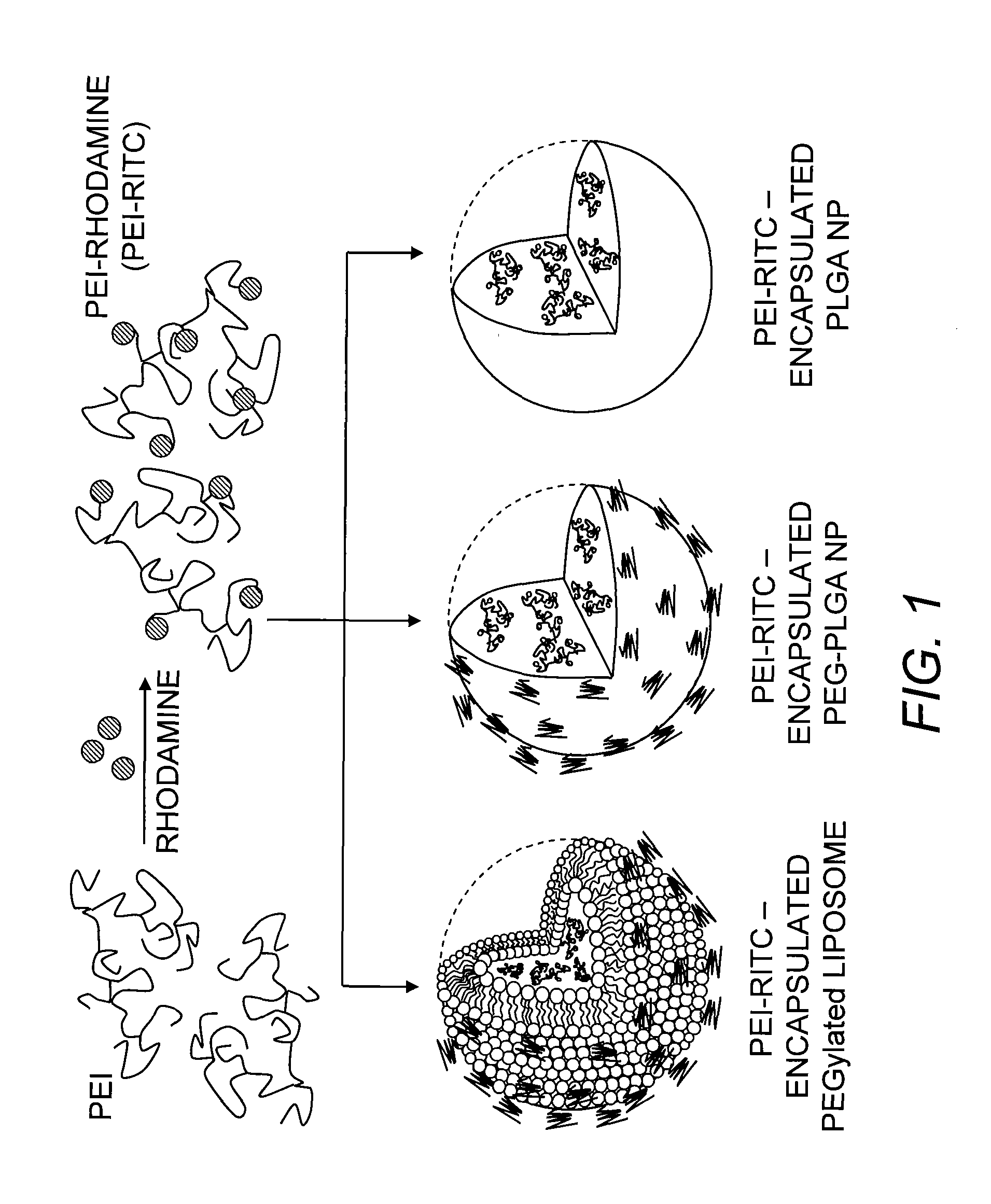 Nano-Hybrid Delivery System for Sequential Utilization of Passive and Active Targeting