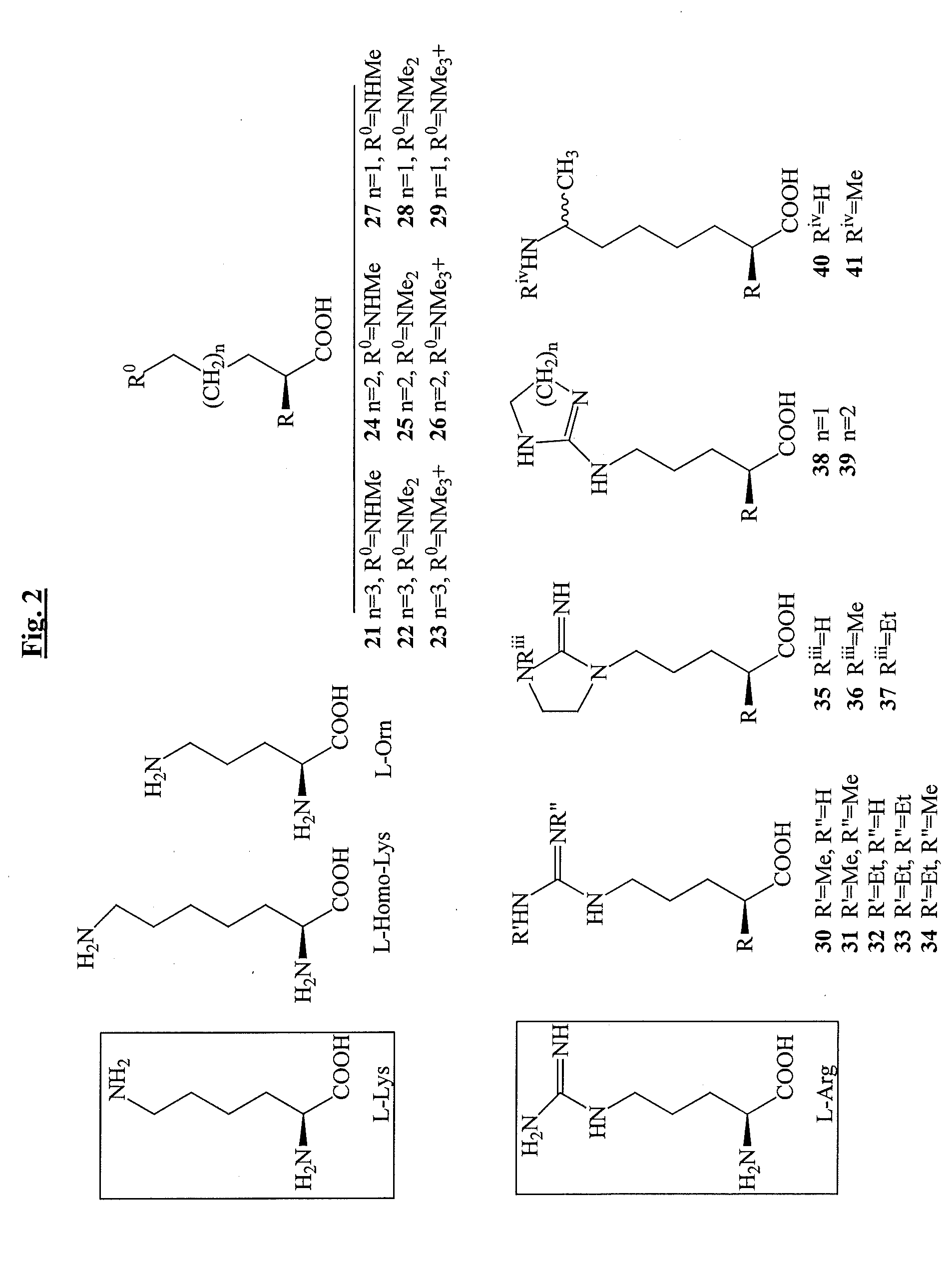 Non-Natural Amino Acids