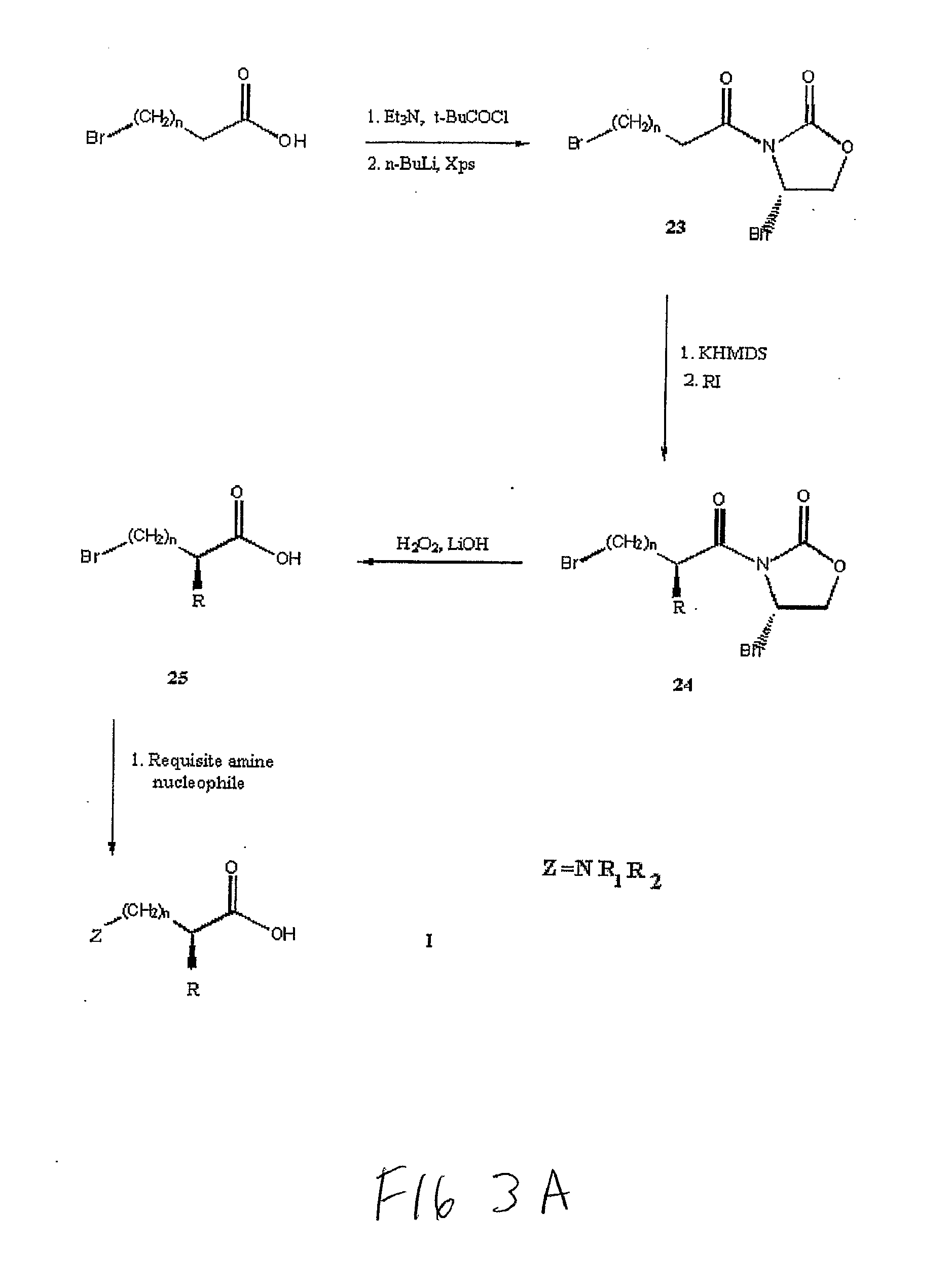 Non-Natural Amino Acids