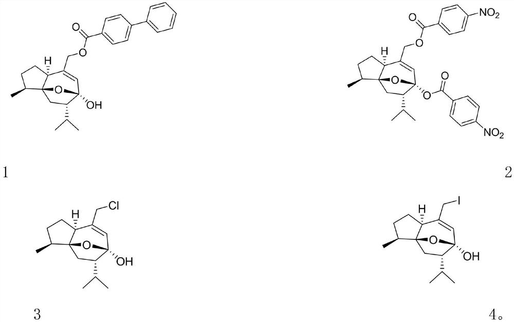Curcumenol derivative, preparation method and application of curcumenol derivative in preparation of anti-inflammatory drugs