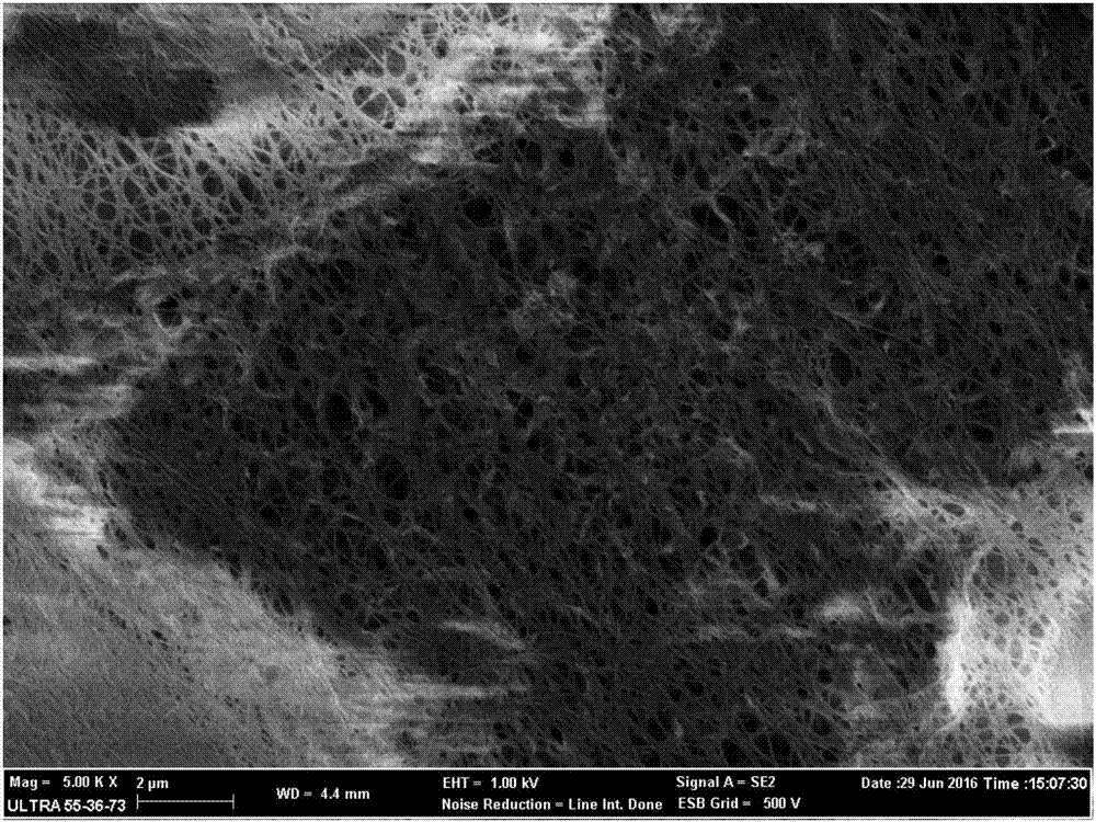 Preparation method of bacterial-cellulose-based composite for flocculating decolorization of printing-dyeing wastewater