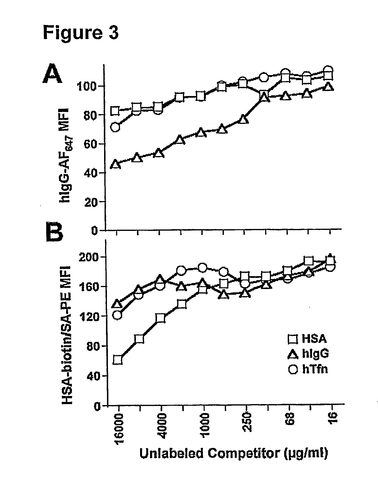 FcRN ANTIBODIES AND USES THEREOF