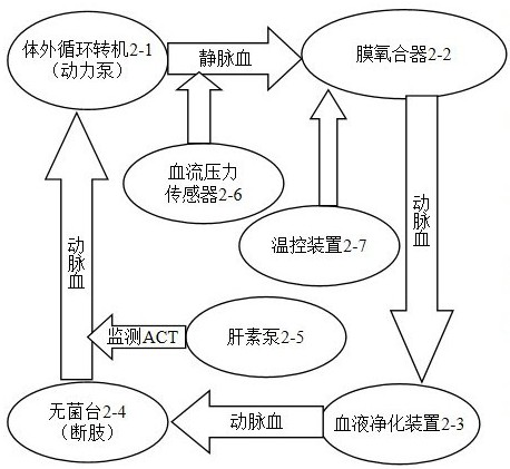 Human organ blood oxygenation system