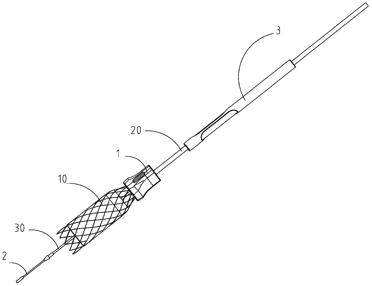 Auxiliary stent placement device and application method thereof