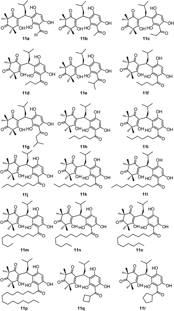 Ring opening myrtle ketone analogue as well as preparation method and application thereof to antibacterial medicines