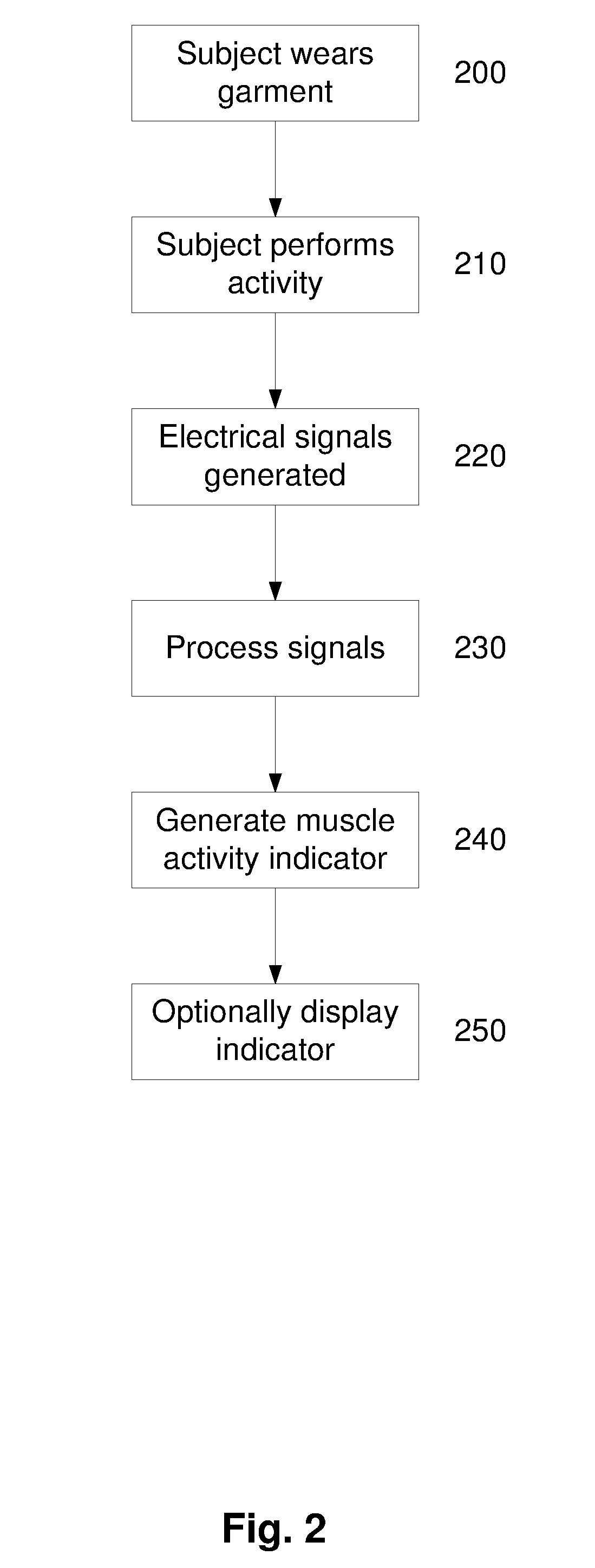 Muscle Activity Monitoring