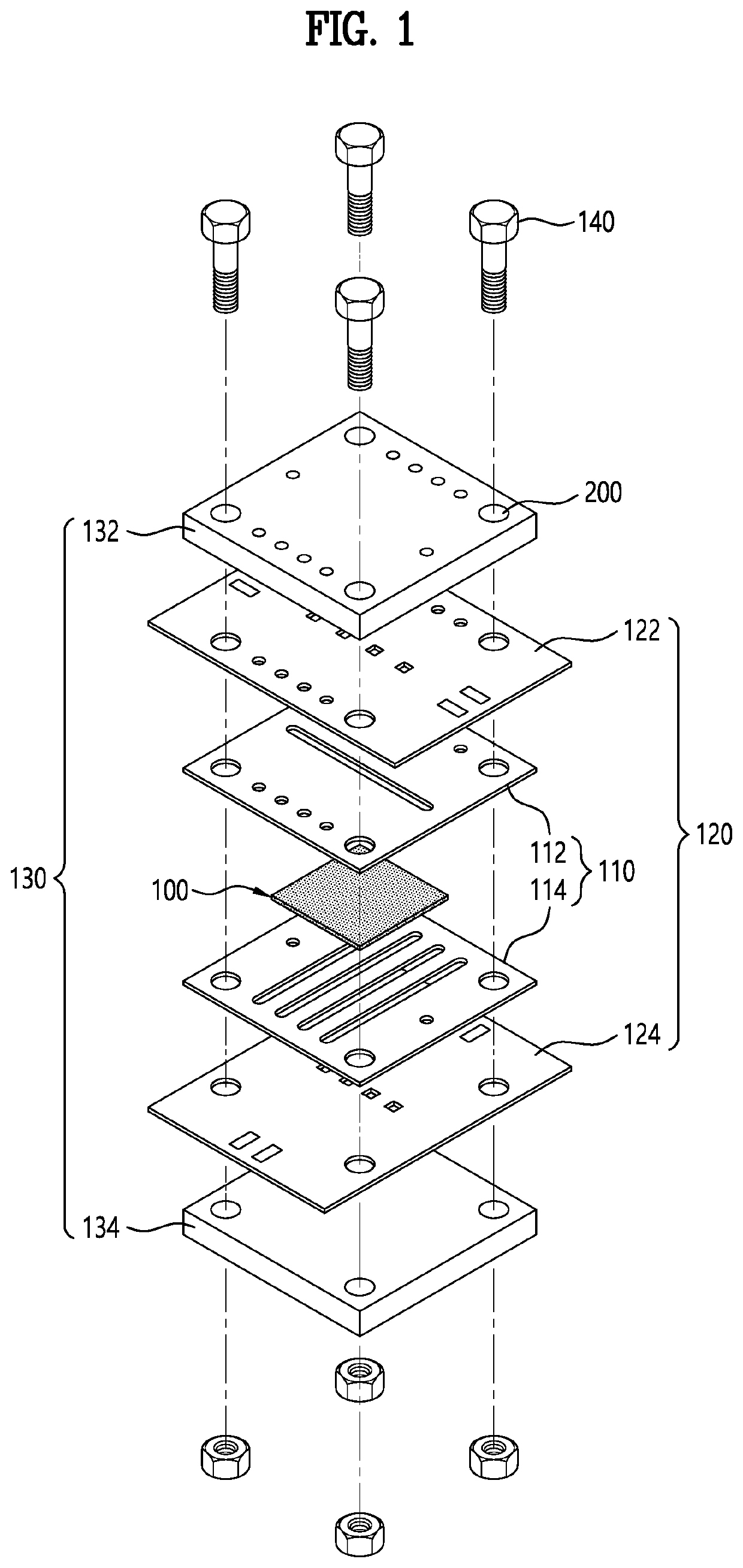 Skin chip, method for manufacturing skin chip and cell skin chip, method for manufacturing skin chip and cell