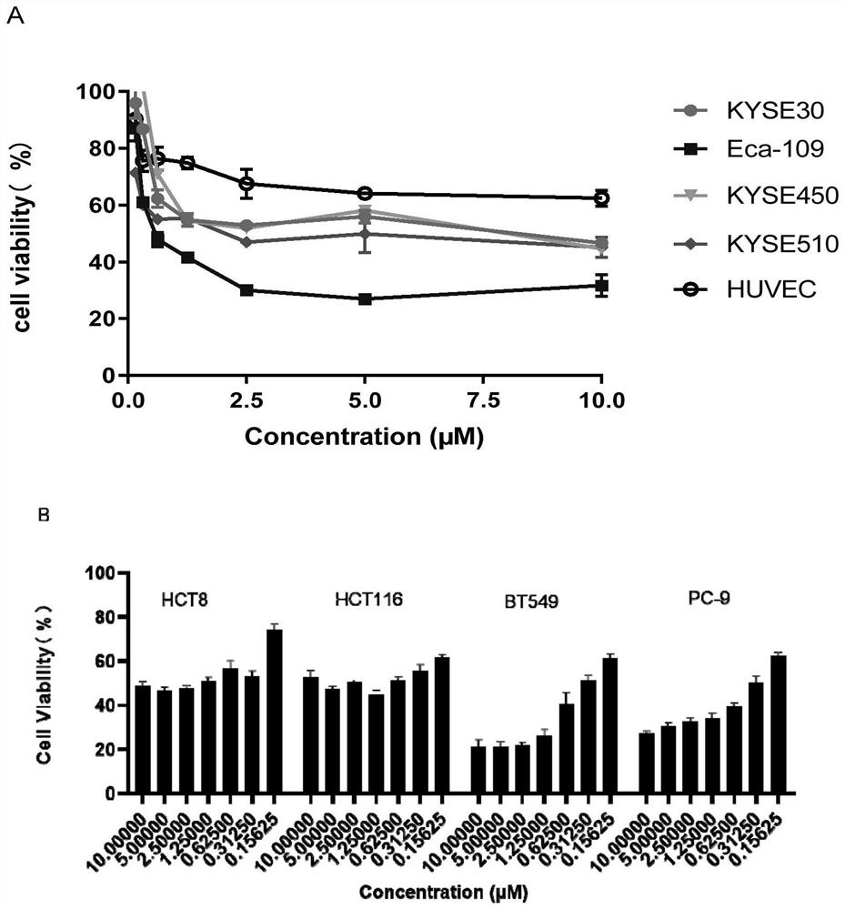 Application of nuclear export protein inhibitor kpt-335 and its composition in antitumor drugs