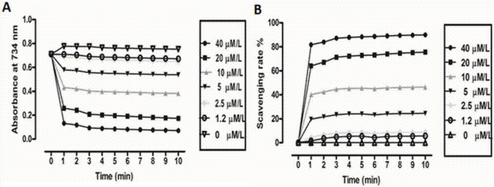 Fejervarya multistriata antioxidative peptide and gene and application thereof