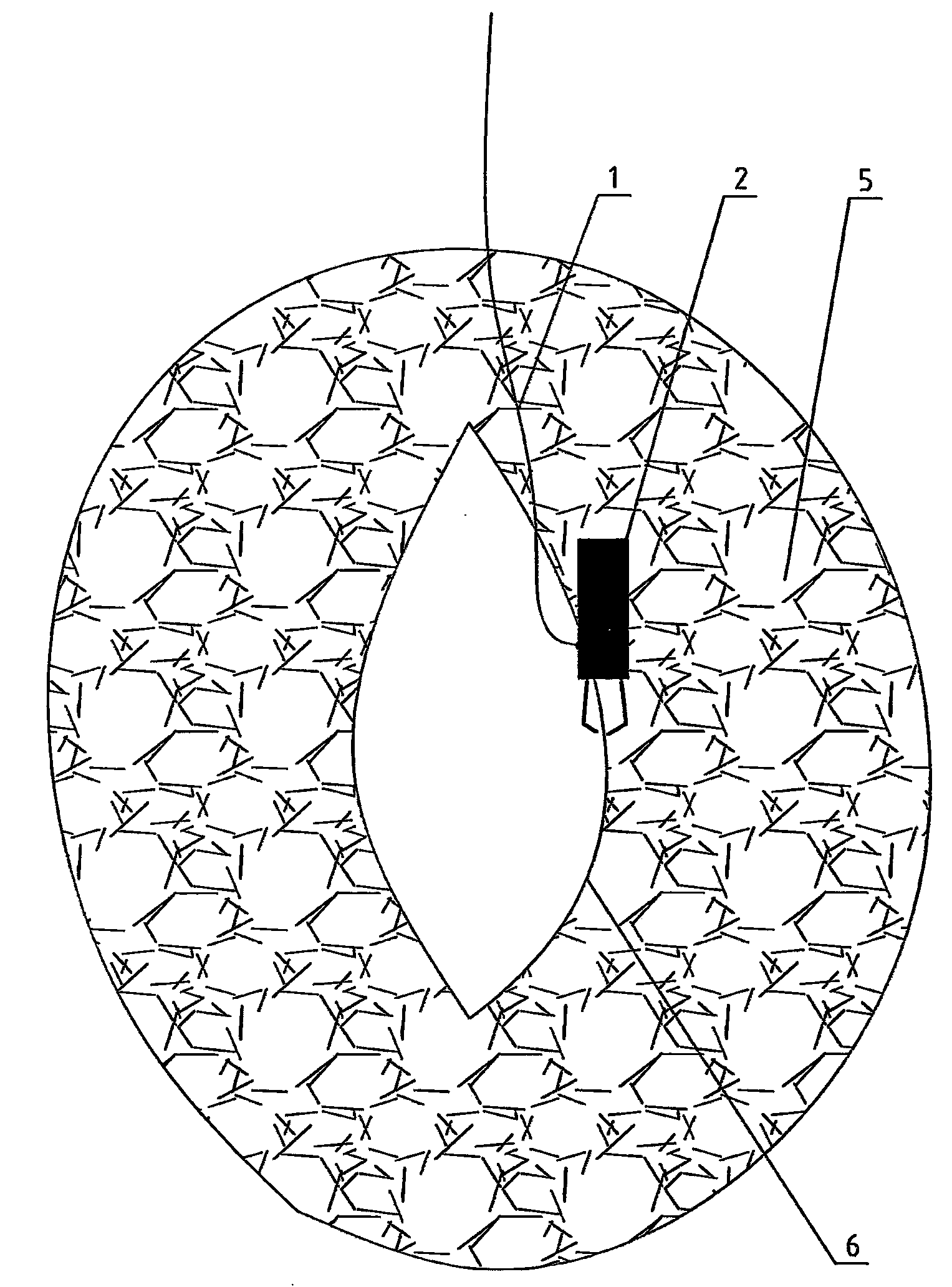 Combined tissue perforation suturing instrument