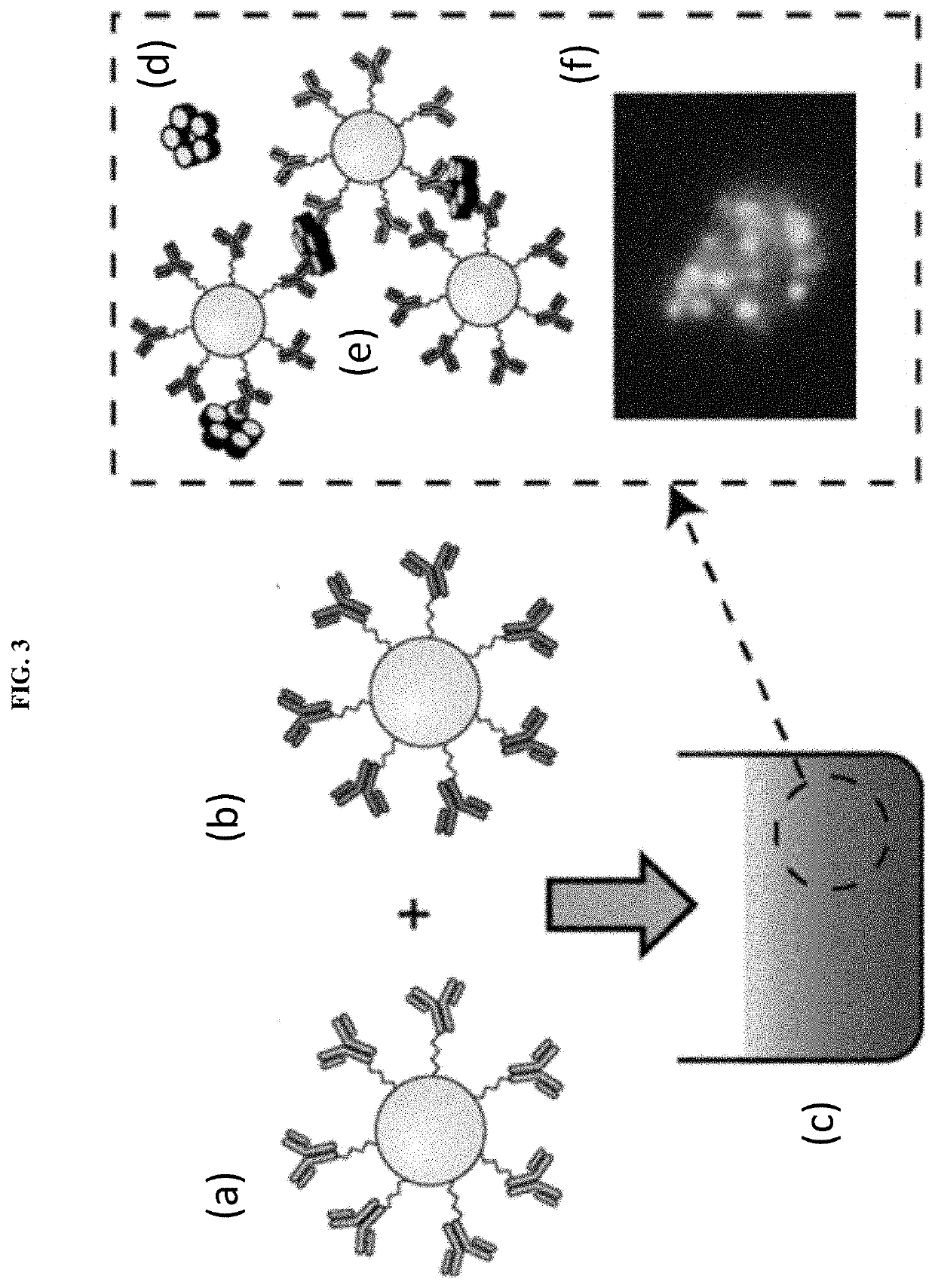 Assays with induced aggregation for enhanced sensitivity