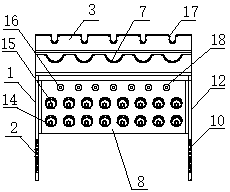 Combined multifunctional storage rack for experiments