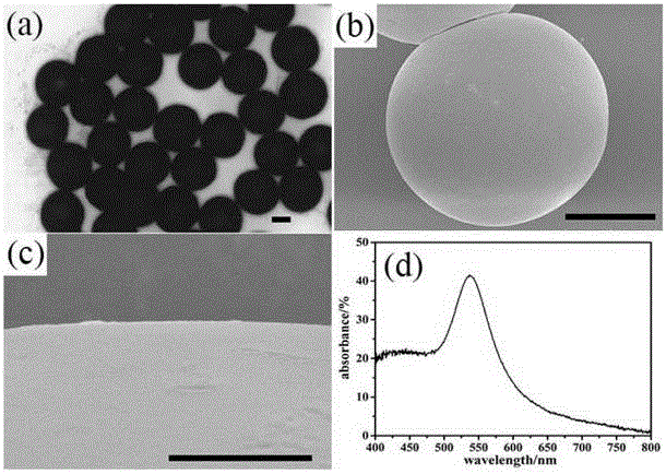 Gold nanoparticle/hydrogel compound material, preparation method and application thereof