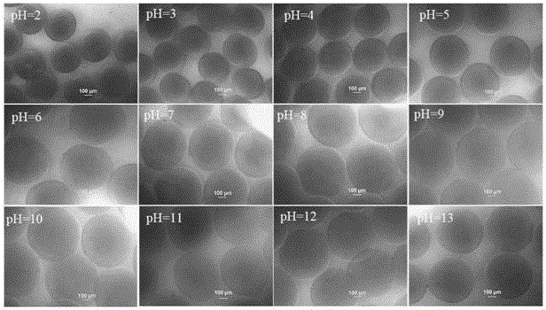 Gold nanoparticle/hydrogel compound material, preparation method and application thereof