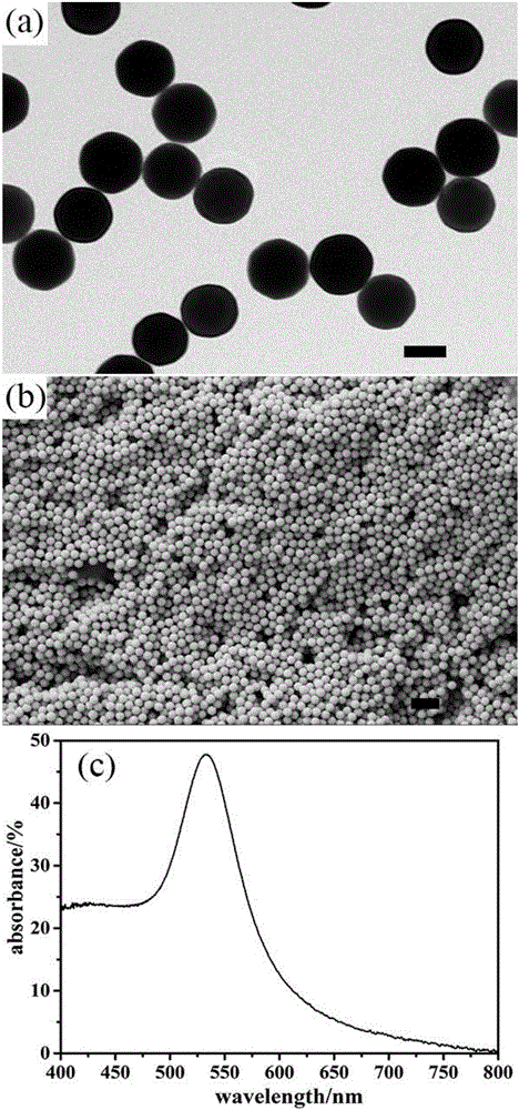 Gold nanoparticle/hydrogel compound material, preparation method and application thereof