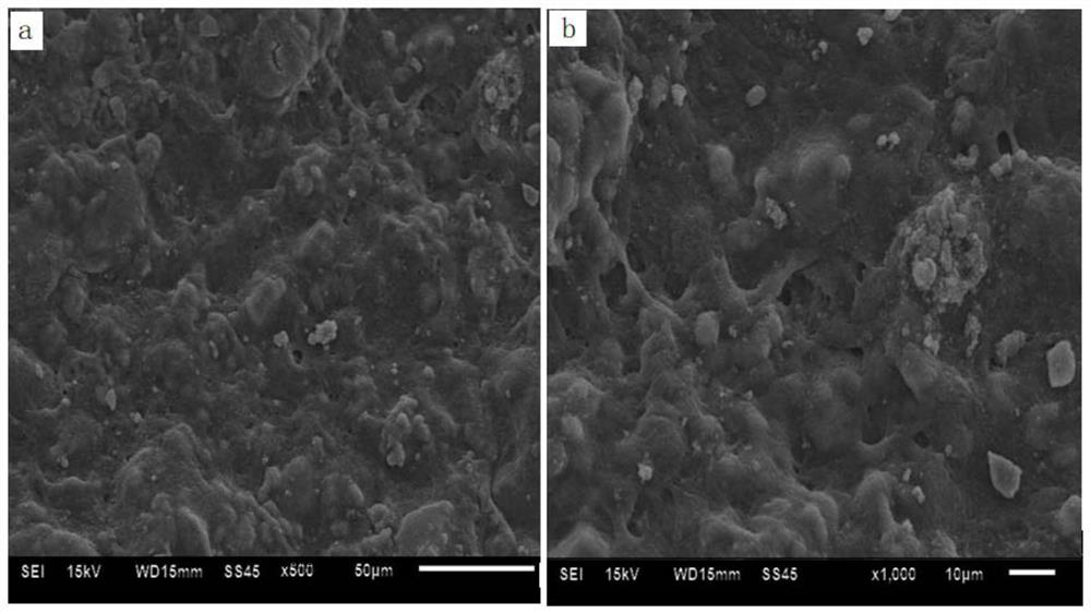 A fast adsorption and desorption adsorbent, preparation and application in lithium/rubidium adsorption