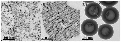 Preparation method and application of photo-thermal-magnetic composite material based on hollow carbon spheres
