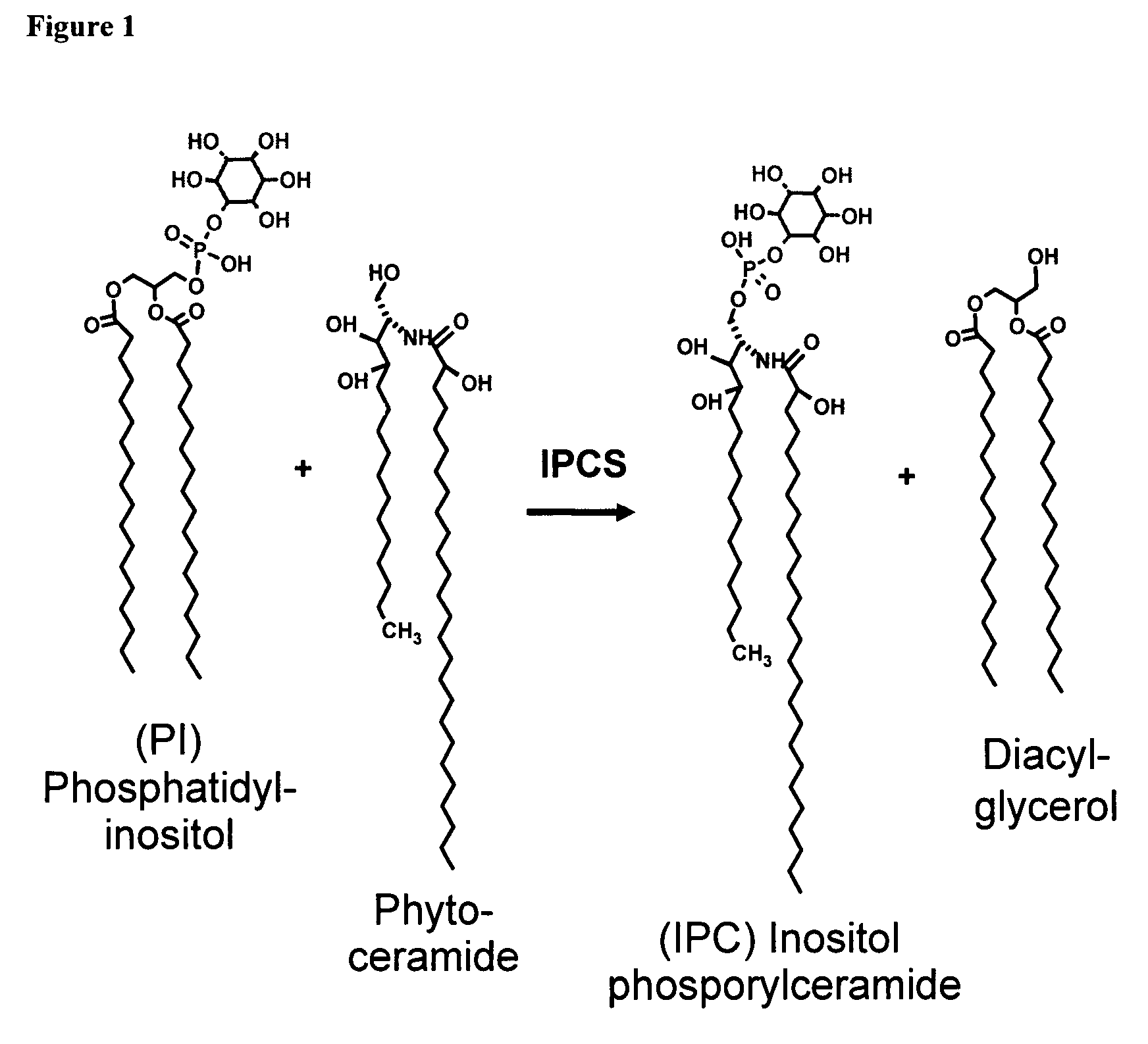 Assay for inositol phosphorylceramide synthase activity