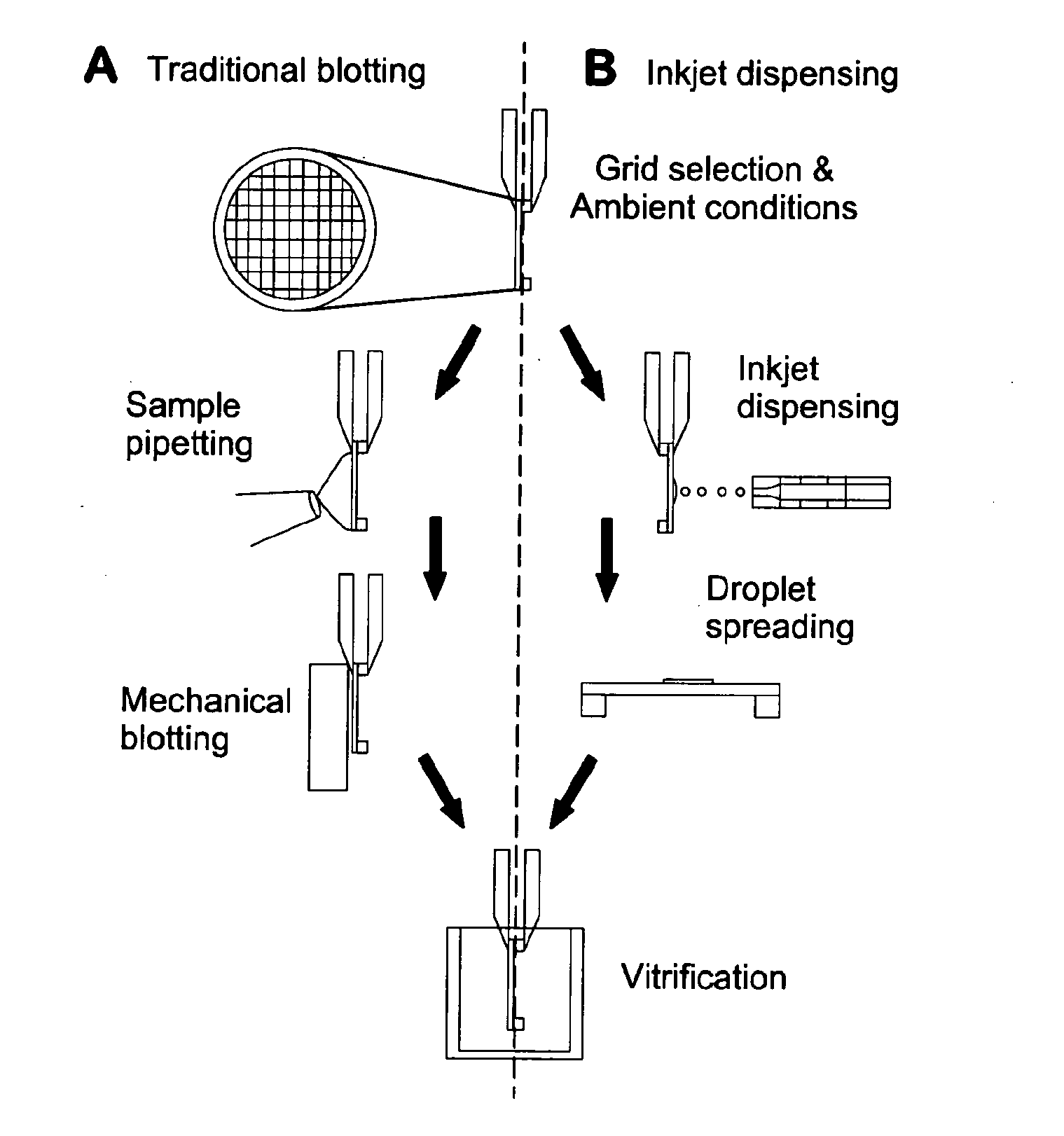 Apparatus and Method for Producing Specimens for Electron Microscopy