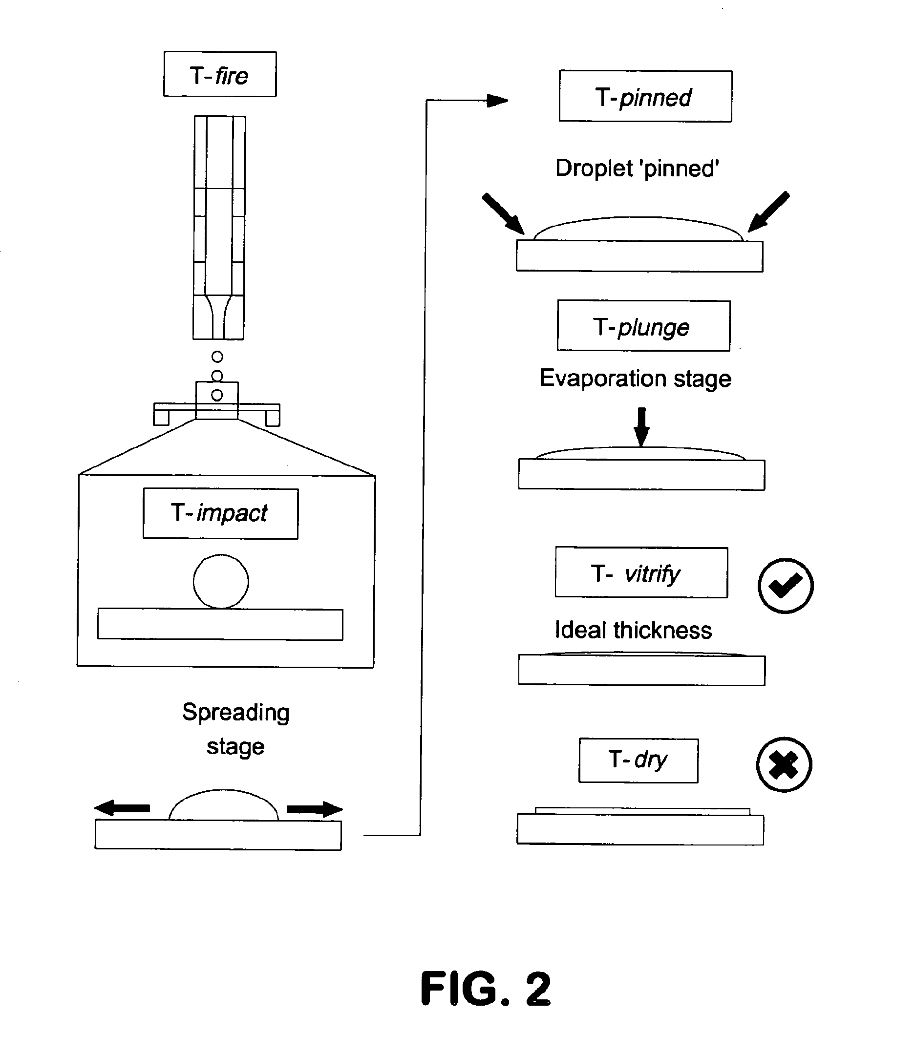 Apparatus and Method for Producing Specimens for Electron Microscopy