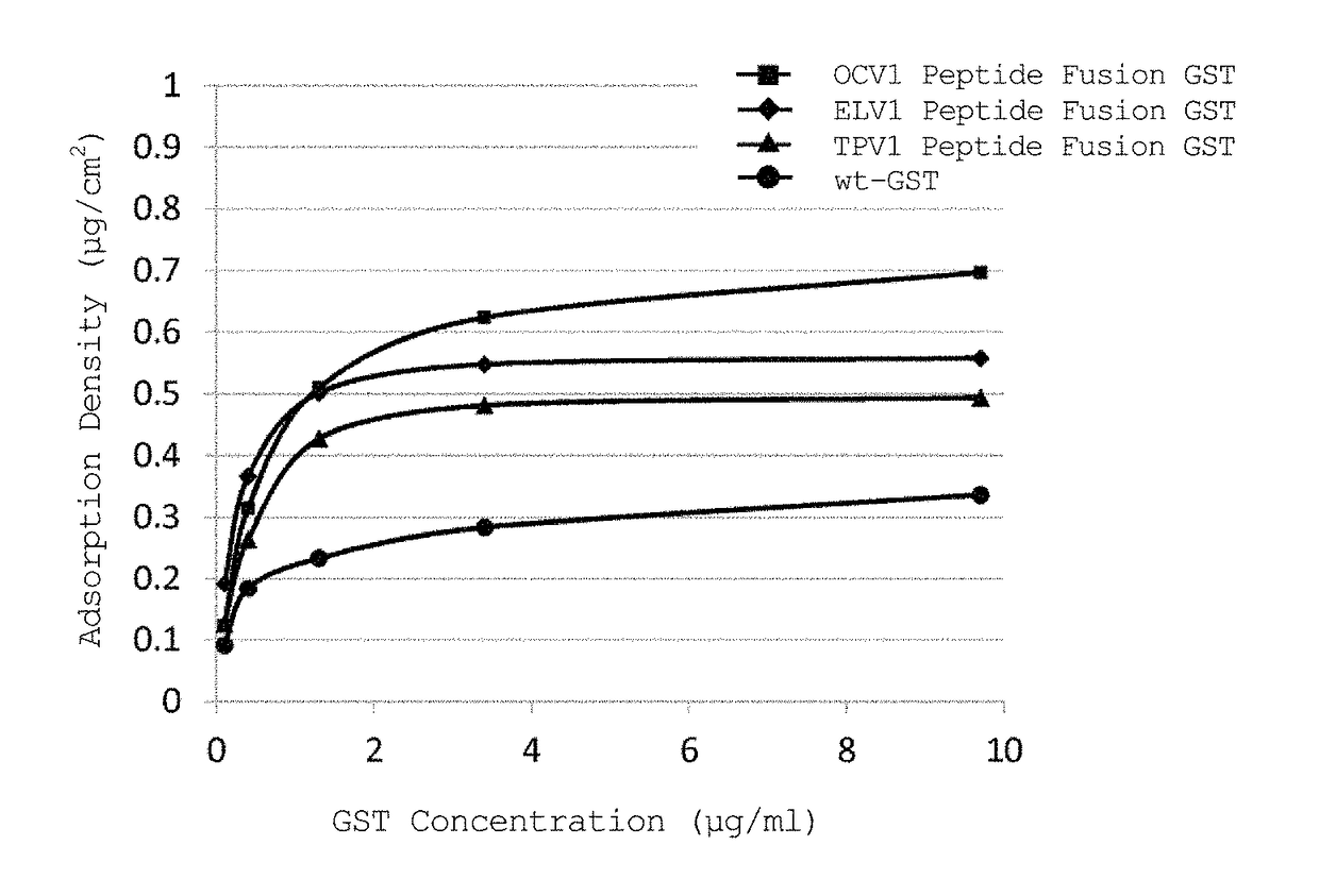 Peptides having affinity for polydimethylsiloxane, and uses thereof