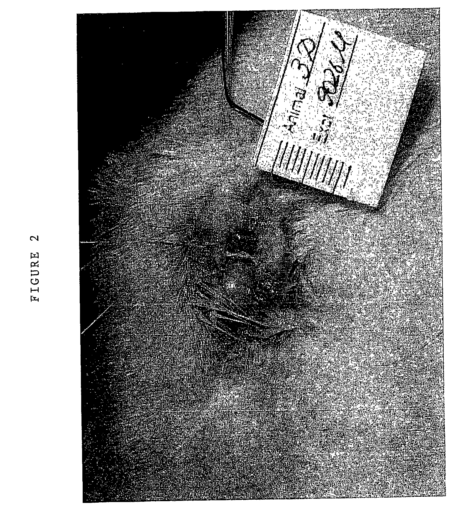 Compositions comprising microspheres with anti-inflammatory properties for healing of ocular tissues