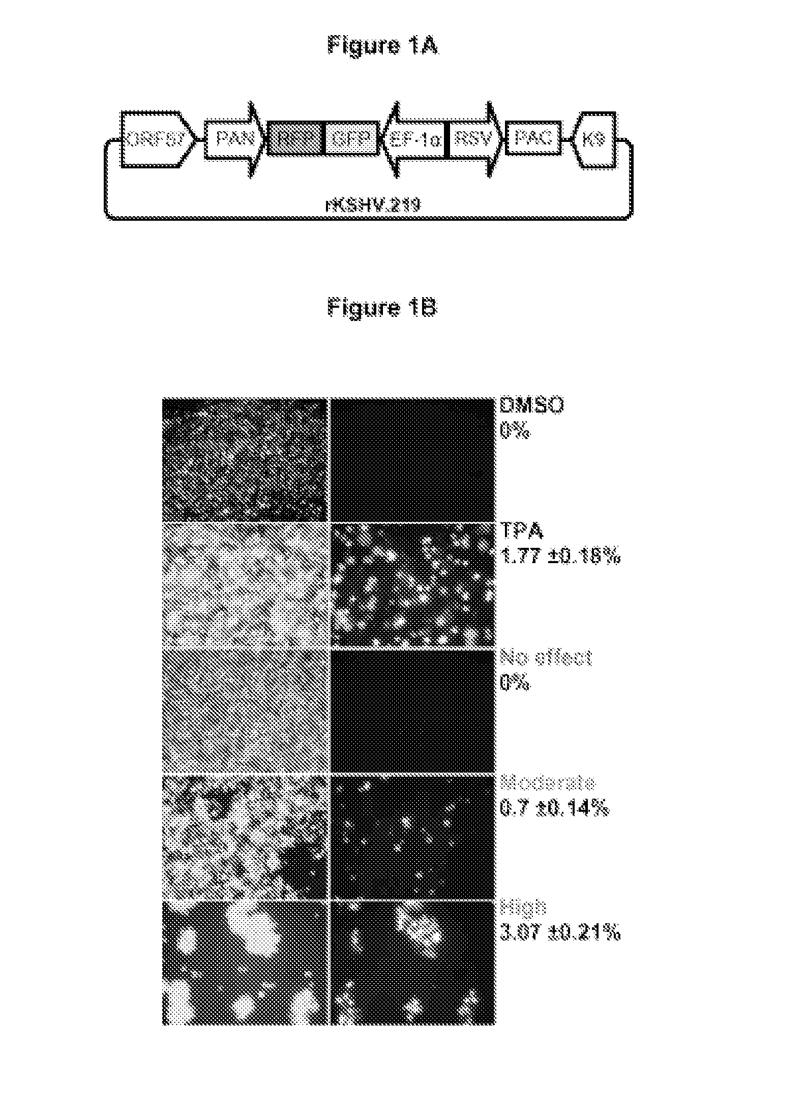 Methods, Compounds and Compositions Relating to Activating a Latent Virus