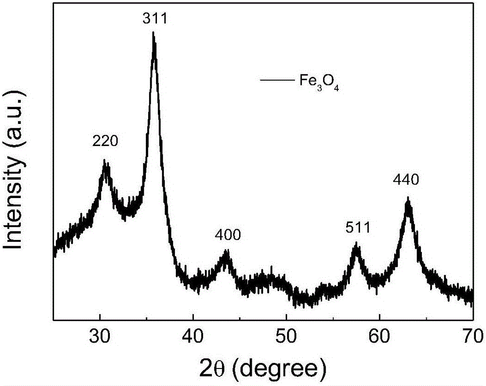 An in situ preparation of superparamagnetic Fe by atomic layer deposition  <sub>3</sub> o  <sub>4</sub>  nanotube array method