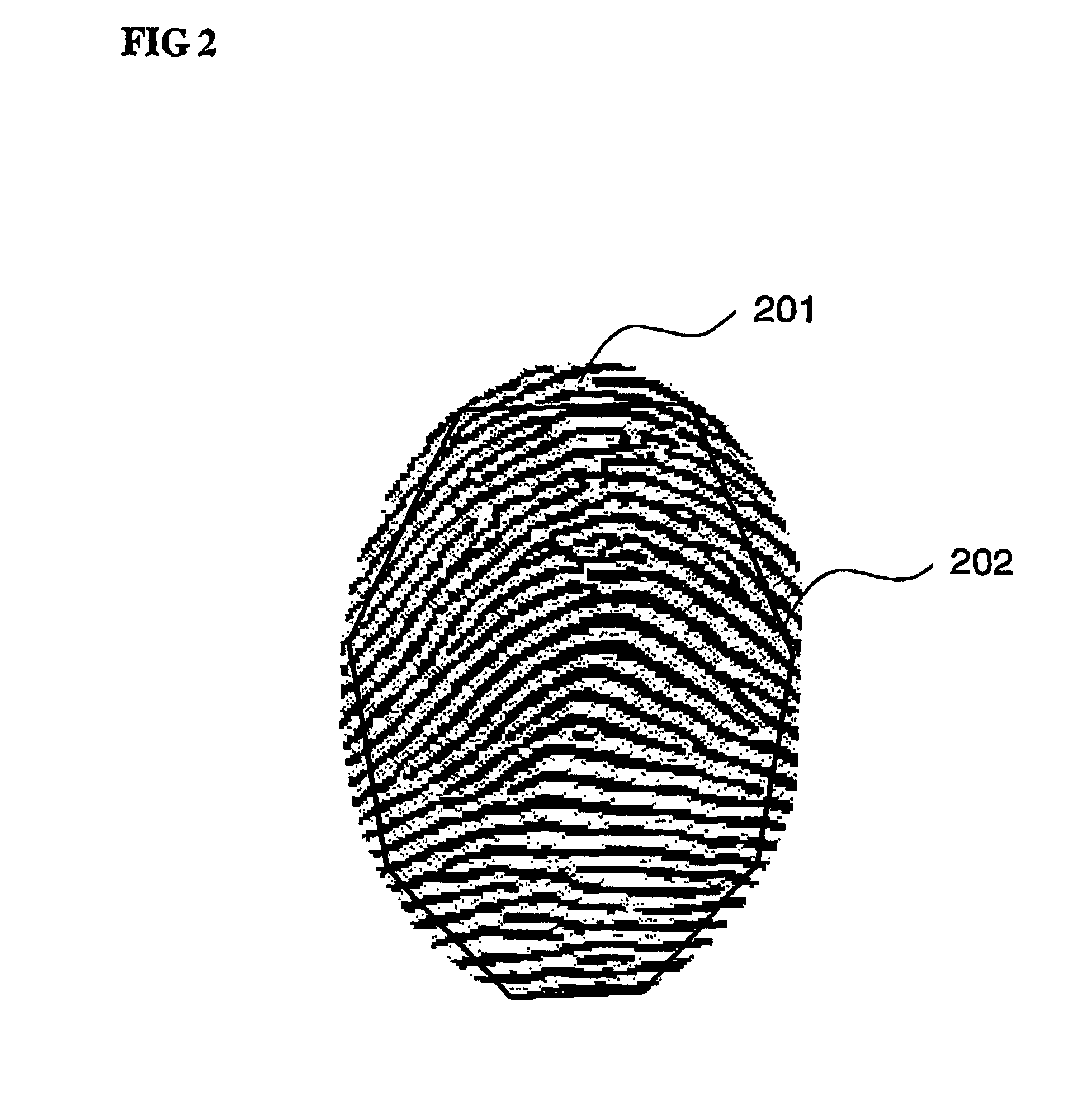 Method and device for computer-based processing a template minutia set of a fingerprint and a computer readable storage medium