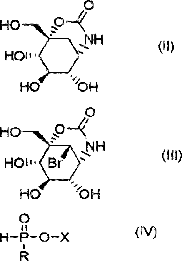 Processes for preparing 6,7,8-trihydroxy-1-(hydroxymethyl)-3-oxo-2-oxa-4-azabicyclo[3.3.1]nonane
