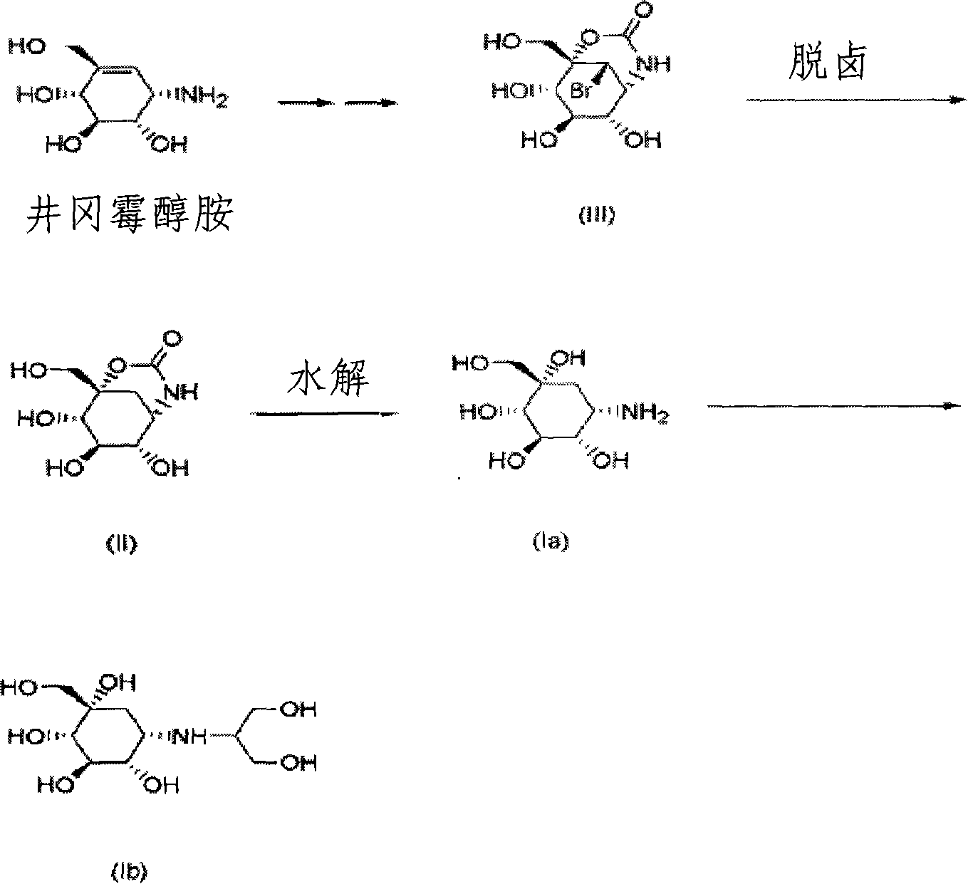Processes for preparing 6,7,8-trihydroxy-1-(hydroxymethyl)-3-oxo-2-oxa-4-azabicyclo[3.3.1]nonane