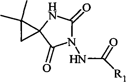 N-3-aramid-5-cyclopropane spiro hydantoin derivative, preparation method and application thereof