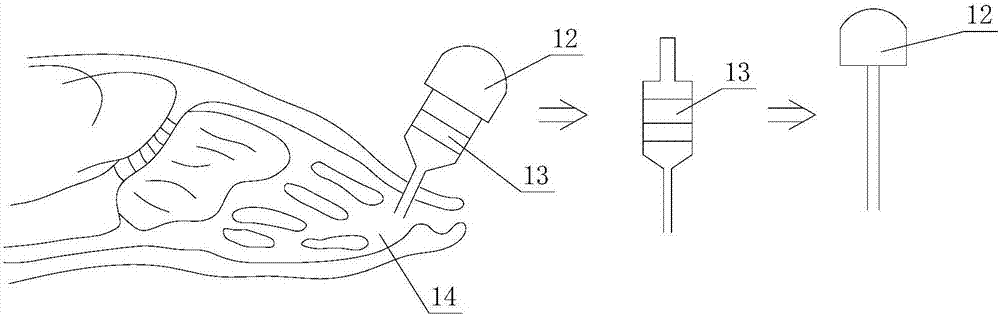 Device for recording sober mouse breathing movement and habituation and dishabituation process