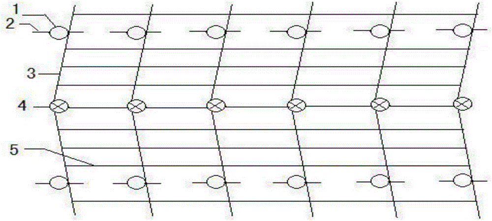 A Y-shaped frame cultivation method of hybrid custard apple