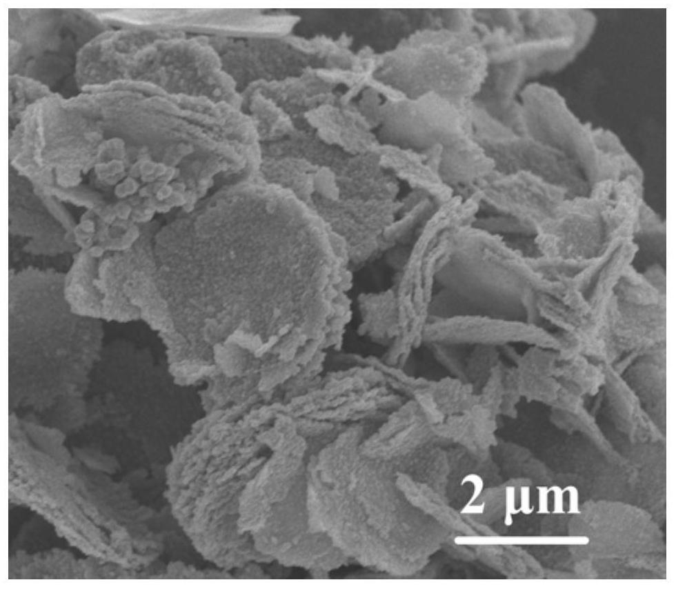 A gold-modified porous tin dioxide micro-nano sheet composite material and its preparation method and application